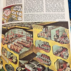 May include: An illustrated diagram of a meatpacking plant, showing various stages from cooling to shipping. Includes labeled sections and text, with a red and white delivery truck.
