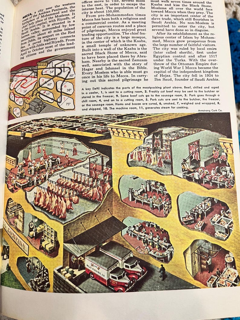 May include: An illustrated diagram of a meatpacking plant, showing various stages from cooling to shipping. Includes labeled sections and text, with a red and white delivery truck.