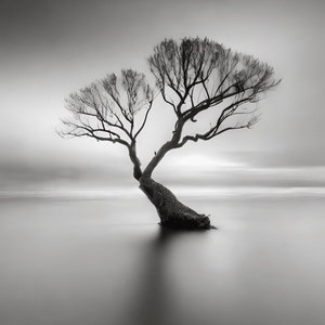 Puede incluir: Una fotografía en blanco y negro de un árbol solitario con ramas desnudas, de pie en un cuerpo de agua. El agua es lisa y refleja el cielo, creando una imagen serena y minimalista.