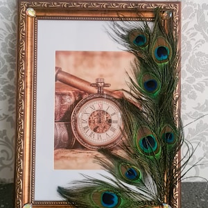 Picture frames, picture frames with feather decor, picture frames with decoration