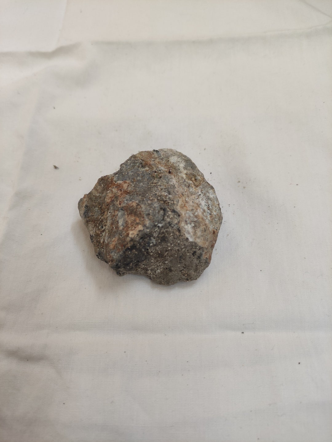 Gray Ambergris 59 Gram Premium Quality. Etsy