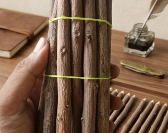Twig Pencil Set of 12, Handmade Natural Wood Branch Pencils, Rustic Graphite Stationery Gift
