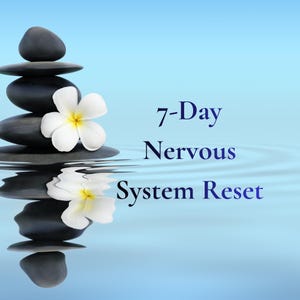 Peut inclure: Une pile de pierres grises foncées avec une fleur blanche, reflétée dans l'eau. Le texte "7-Day Nervous System Reset" est affiché en bleu foncé. Le fond est un dégradé de bleu clair.