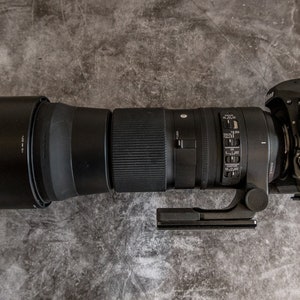 Sigma 150-600 contemporary Arca swiss mount with handle image 4