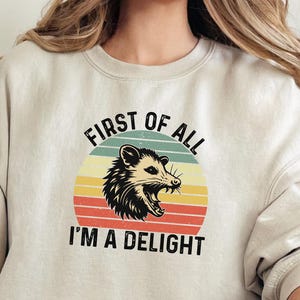 First Of All I&#39;m A Delight Sweatshirt, Sarcastic Angry Opossum Lover Sweatshirt, Cute Sarcastic Sweater, Sarcastic Self Love Shirt