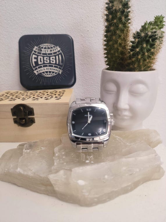 Extremely rare big tic fossil (A) - image 3