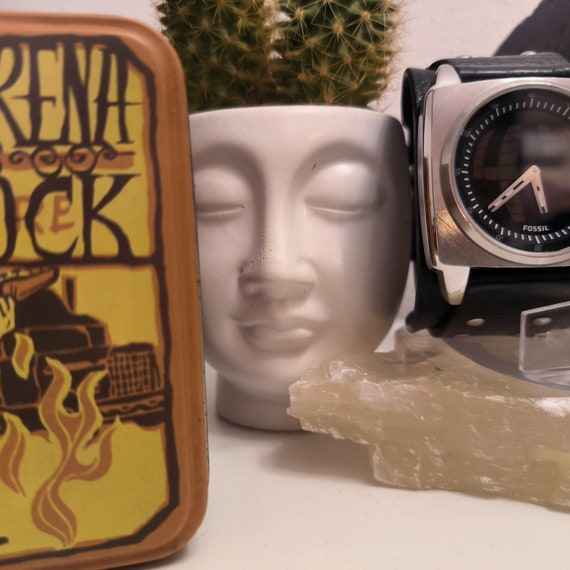 Fossil Rock big tic extremely rare (C) - image 2