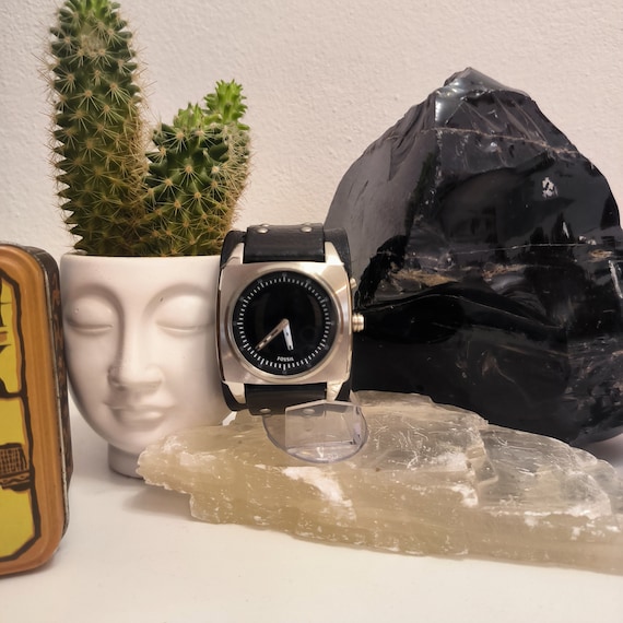 Fossil Rock big tic extremely rare (C) - image 5