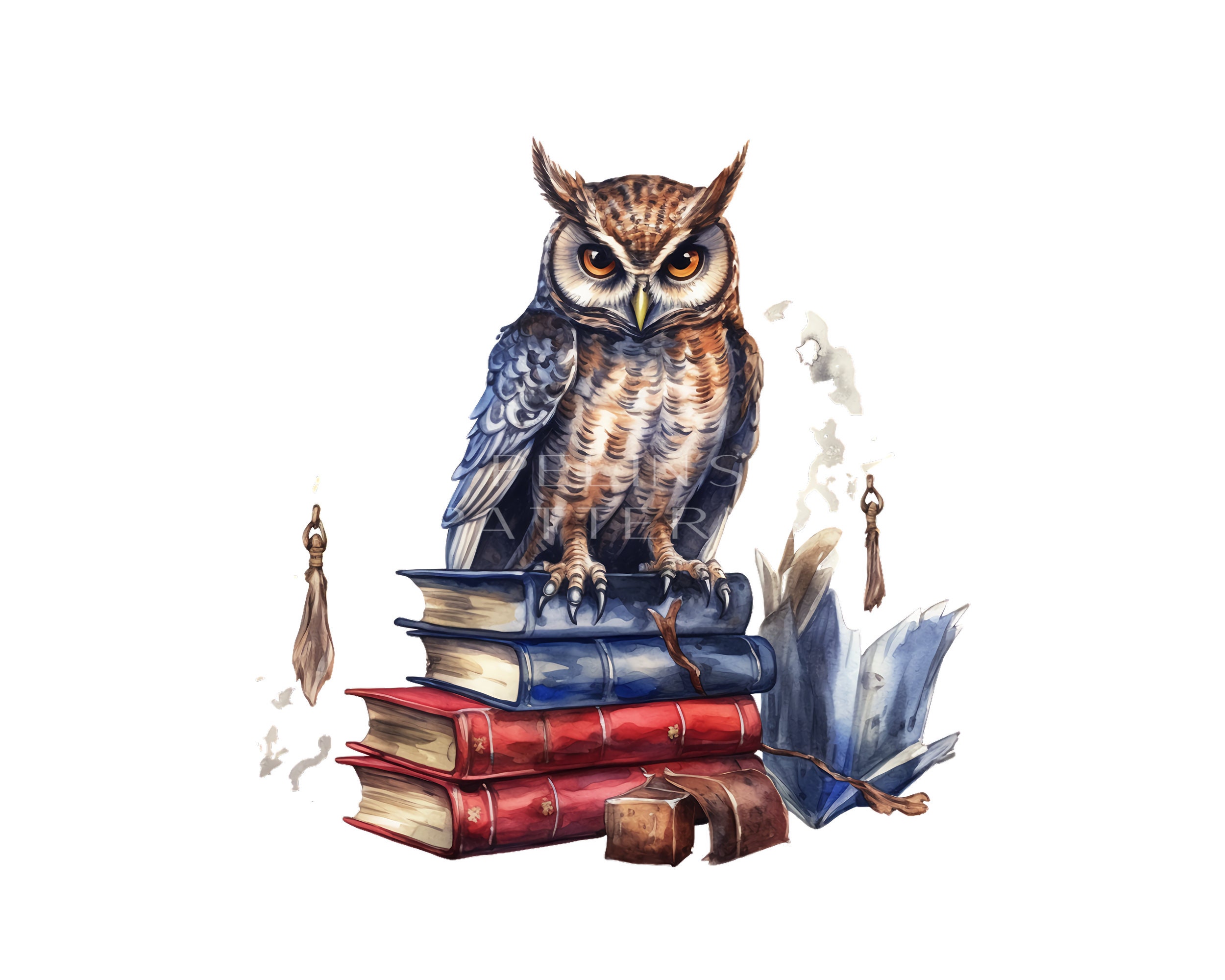 Wise Owl Clipart PNG - Etsy