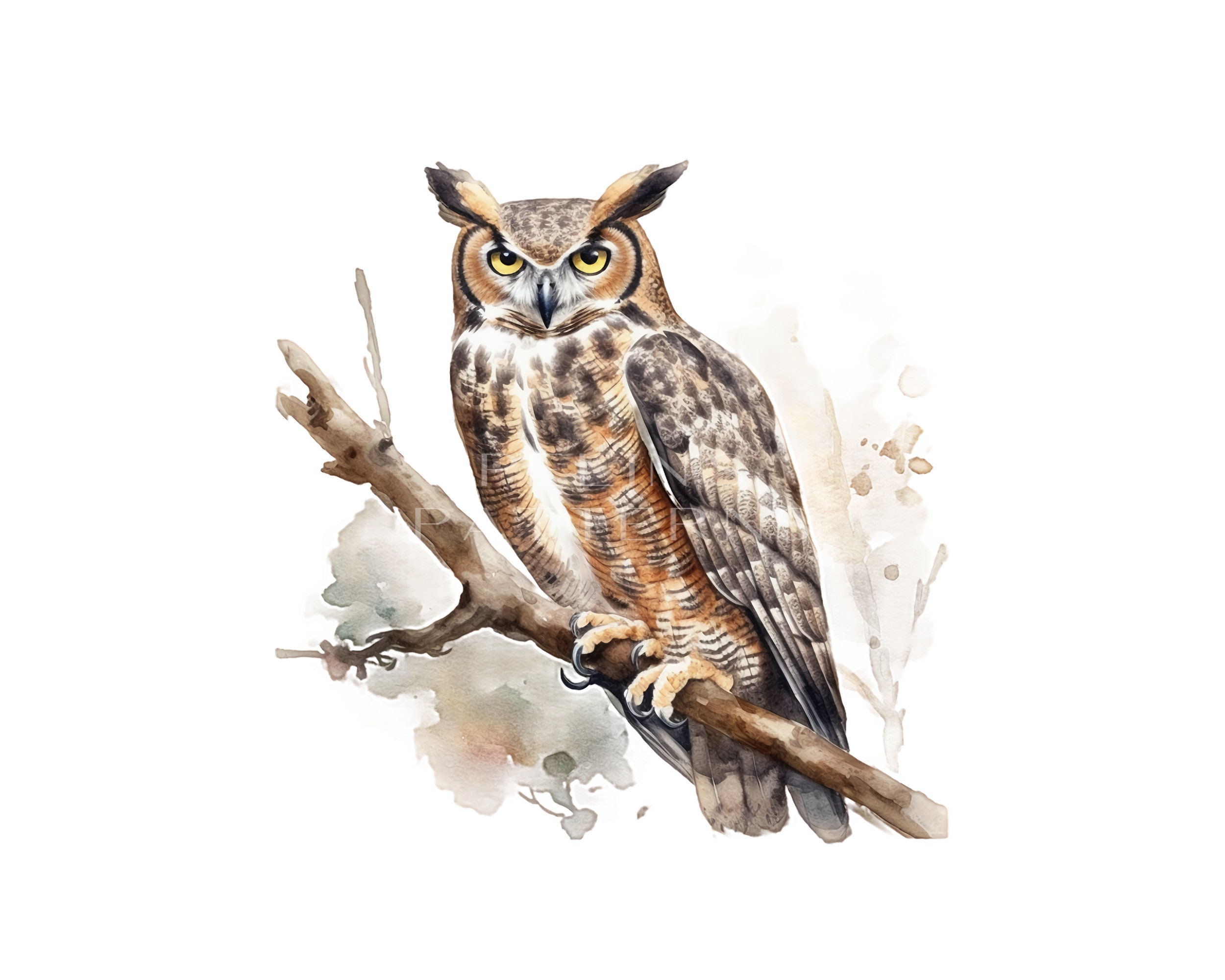 Great Horned Owl Clipart PNG Etsy