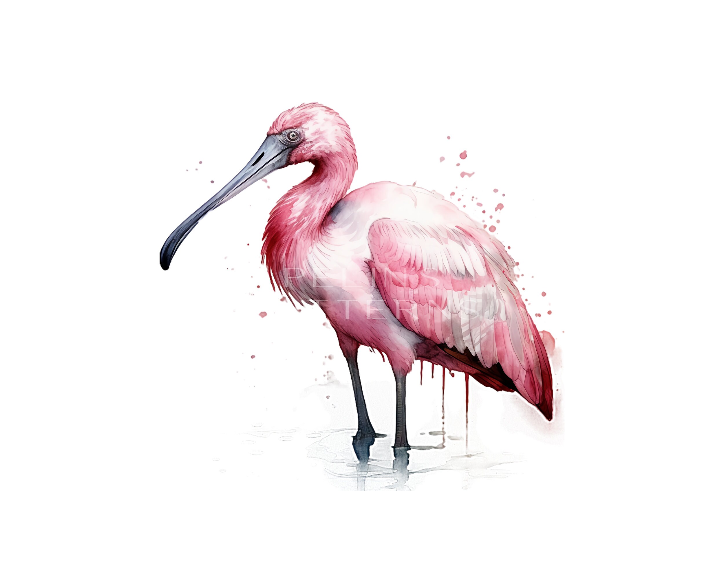 Roseate Spoonbill Clipart PNG - Etsy