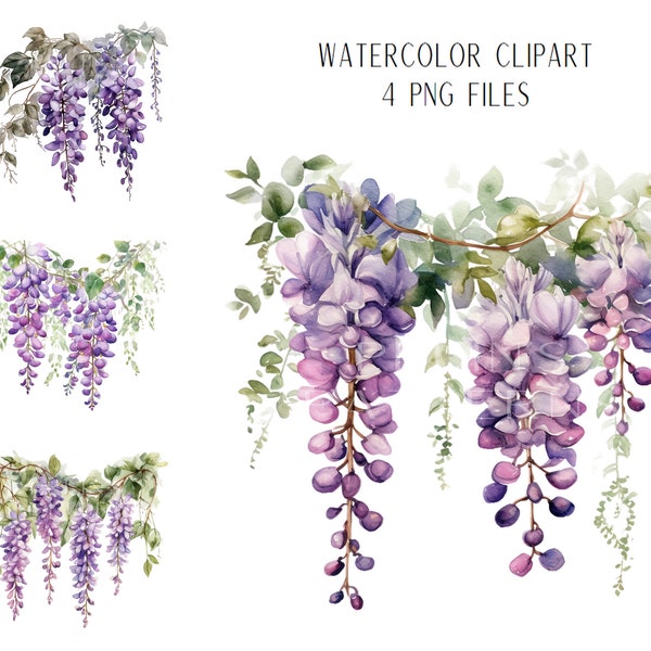 Glycine Clipart png PNG Clipart