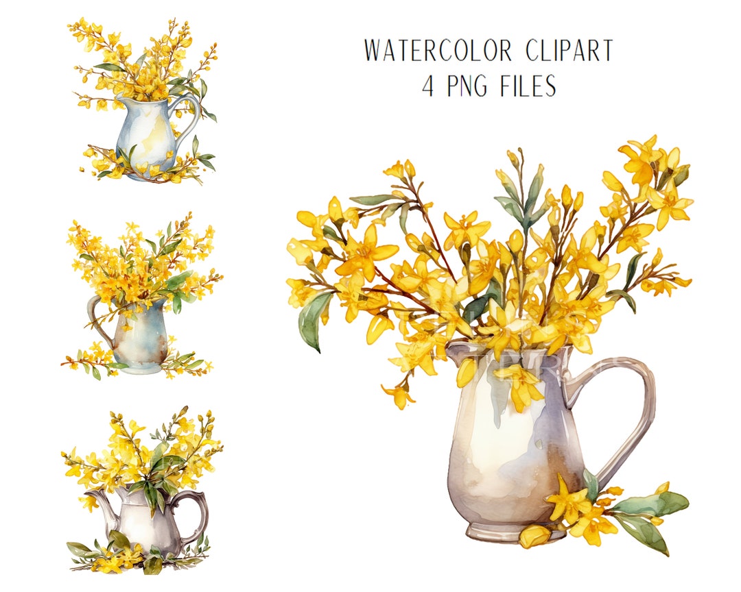 Forsythia Branches PNG Clipart (Download Now) - Etsy