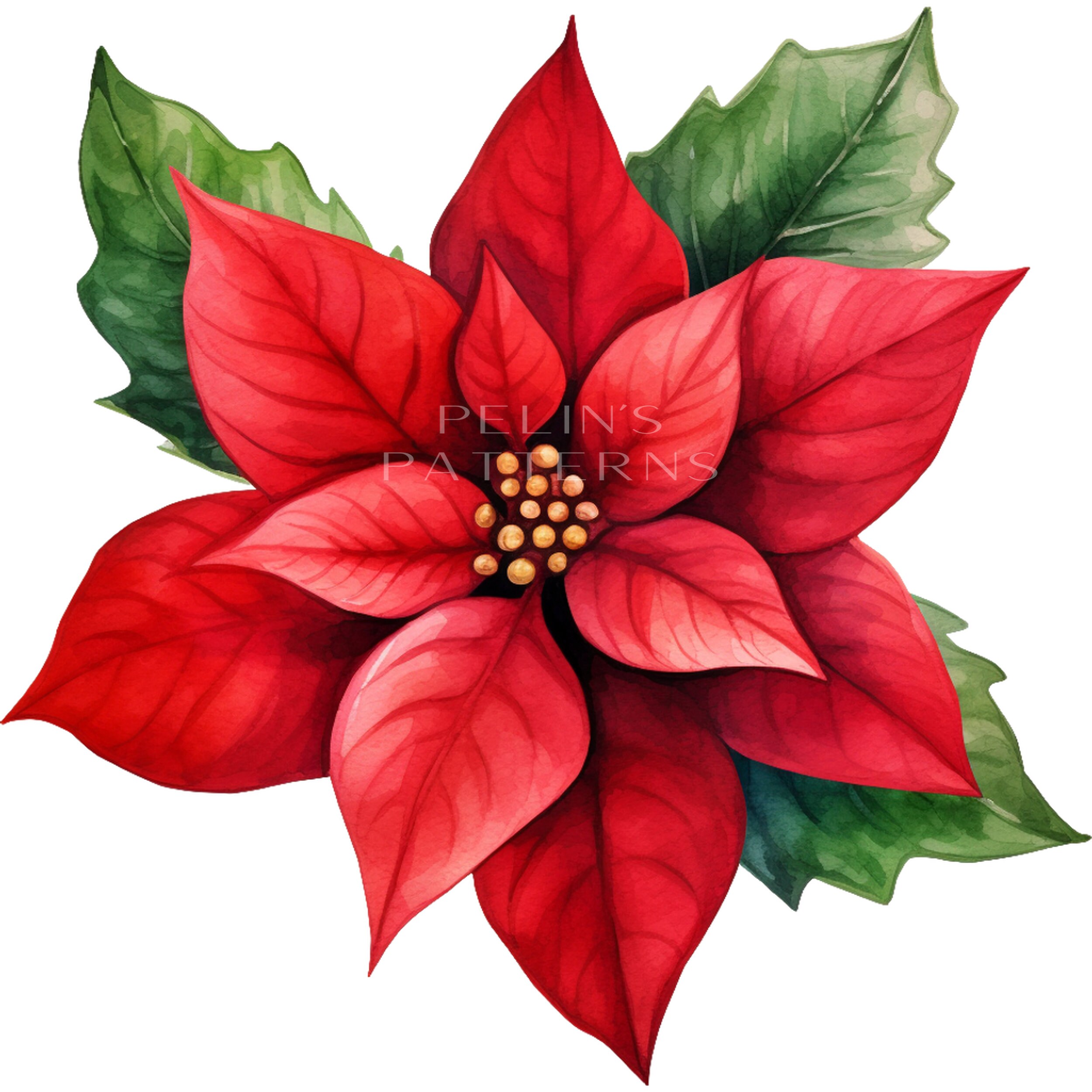 Christmas Poinsettia Watercolor Clipart PNG, Christmas Illustration PNG ...