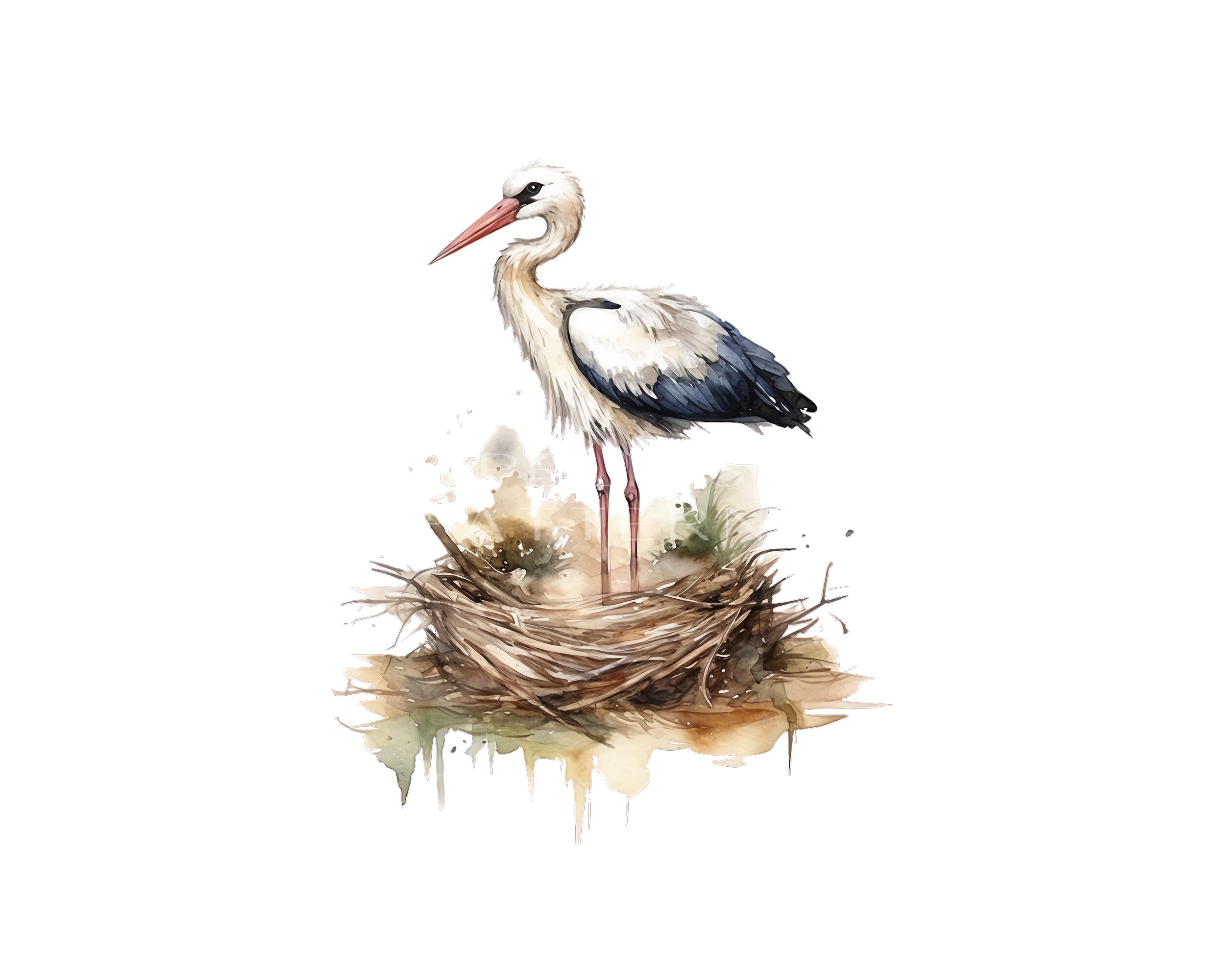 Stork Clipart PNG Etsy