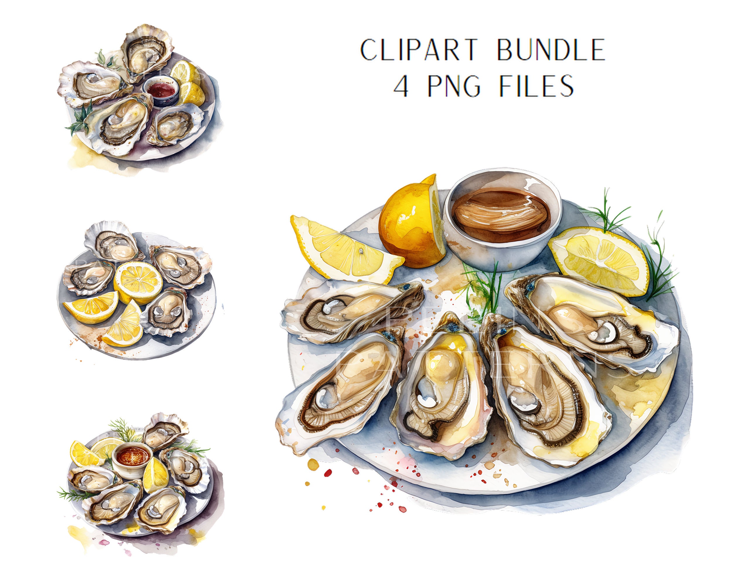 Oysters Clipart