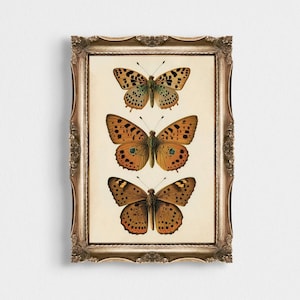 Boho Butterflies Print, Butterfly Art, Vintage Decor, Digital Print, Printable Art, Girl&#39;s room decor, Modern, Retro, Boho Girl&#39;s Nursery
