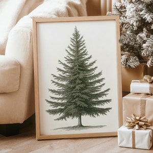 Vintage Fir Tree Art Print | Pine Tree Christmas Wall Decor | Classic Holiday Botanical Art | Rustic Winter Wall Art | Simple Tree Drawing