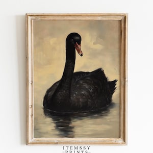 Impresión artística de cisne negro antiguo / Póster de pájaro gótico victoriano / Arte mural minimalista melancólico / Decoración rústica neutra / Pintura al óleo digital