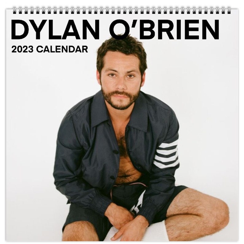 2023 Dylan Obrien Calendar Celebrity Calendar 2023 Wall - Etsy Canada