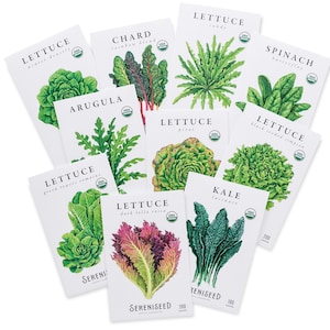 Certified Organic Leafy Greens Lettuce Seeds (10-Pack) – 100% Non GMO, Open Pollinated – Grow Guide