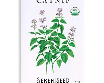 Certified Organic Catnip Seeds