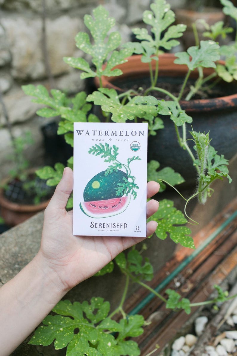 May include: A packet of watermelon seeds labeled "Watermelon Moon & Stars" with a watercolor illustration of a watermelon slice. The packet is held in front of green leafy plants and a brick wall. The packet also says "Sereniseed" and "25 seeds".