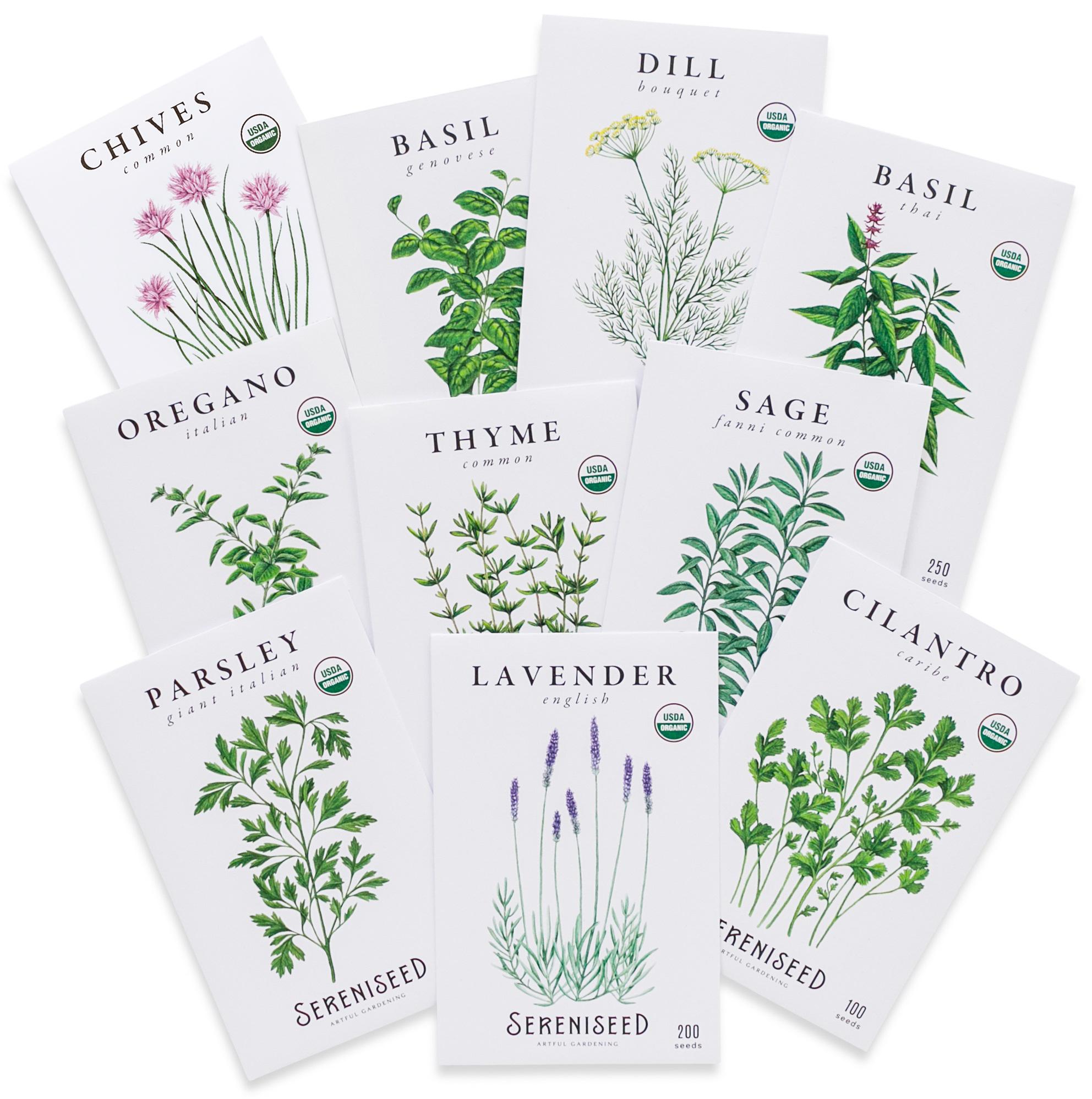 Certified Organic Herb Seeds (10-Pack) – Non GMO, Open Pollinated Varieties – Seed Starting Video