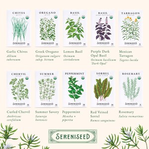 May include: Ten white seed packets from Sereniseed featuring botanical illustrations of garlic chives, Greek oregano, lemon basil, purple dark opal basil, Mexican tarragon, curled chervil, summer savory, peppermint, red veined sorrel, and rosemary.