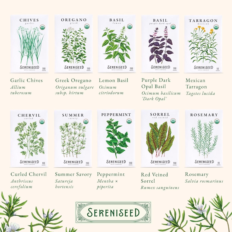 May include: Ten white seed packets from Sereniseed featuring botanical illustrations of garlic chives, Greek oregano, lemon basil, purple dark opal basil, Mexican tarragon, curled chervil, summer savory, peppermint, red veined sorrel, and rosemary.