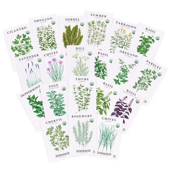 Certified Organic Herb Seeds (20-Pack) – Non GMO, Heirloom – Seed Starting Video