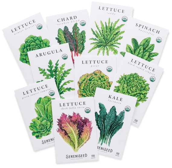 Certified Organic Leafy Greens Lettuce Seeds (10-Pack) – 100% Non GMO, Open Pollinated – Grow Guide