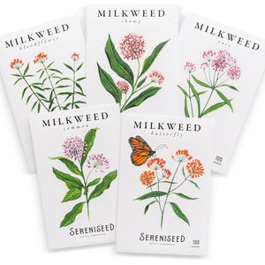 May include: Five white seed packets with botanical illustrations of milkweed plants. The packets are labeled "Bloodflower," "Showy," "Rose," "Common," and "Butterfly." The "Butterfly" packet features an orange monarch butterfly. Each packet has "Sereniseed" printed on it.