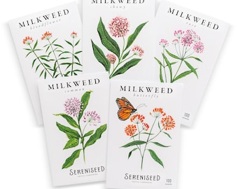 May include: Five white seed packets with botanical illustrations of milkweed plants. The packets are labeled "Bloodflower," "Showy," "Rose," "Common," and "Butterfly." The "Butterfly" packet features an orange monarch butterfly. Each packet has "Sereniseed" printed on it.