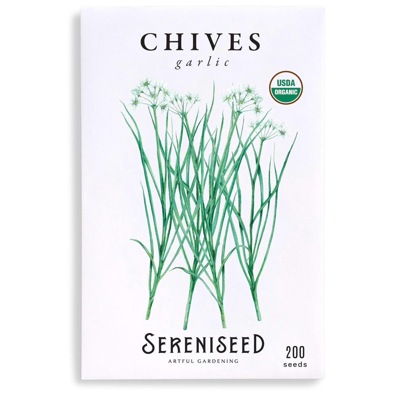 Garlc Chve Seeds, 100+ ndoor and Outdoor Perennal Edble and
