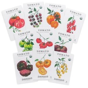 Certified Organic Tomato Seeds Collection (10-Pack) – 100% Non GMO, Open Pollinated Varieties – With Planting Guide