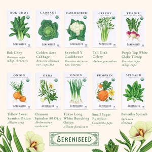 May include: Ten white seed packets from Sereniseed featuring botanical illustrations of Bok Choy, Golden Acre Cabbage, Snowball Y Cauliflower, Tall Utah Celery, Purple Top White Globe Turnip, Yellow Sweet Spanish Onion, Clemson Spineless 80 Okra, Tokyo Long White Bunching Onion, Small Sugar Pumpkin, and Butterflay Spinach.