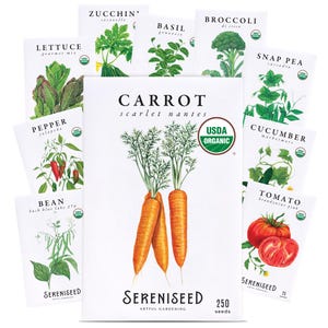 May include: A collection of eleven white seed packets featuring botanical illustrations of vegetables including carrot, lettuce, zucchini, basil, broccoli, snap pea, pepper, bean, cucumber, and tomato, each labeled with its name and a USDA Organic seal.