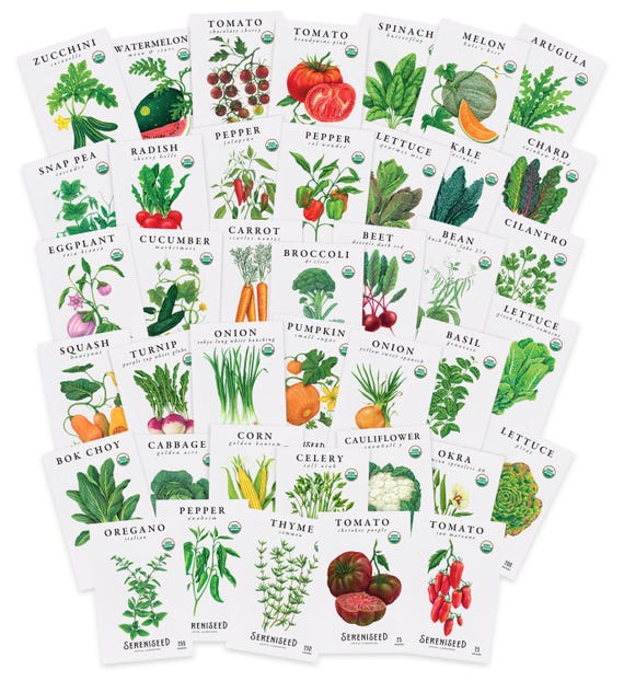 Certified Organic Vegetable Seeds (40-Pack) – Non GMO, Open Pollinated - Veggie Seeds for Planting