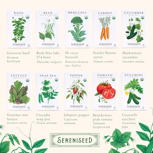 May include: A collection of ten white seed packets from Sereniseed, each featuring a botanical illustration of a vegetable or herb including basil, bean, broccoli, carrot, cucumber, lettuce, snap pea, pepper, tomato, and zucchini with text.