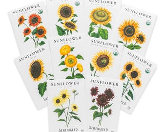 Sereniseed Sunflower Seeds Collection (10-Pack) – 100% Non GMO, Open Pollinated – Grow Guide