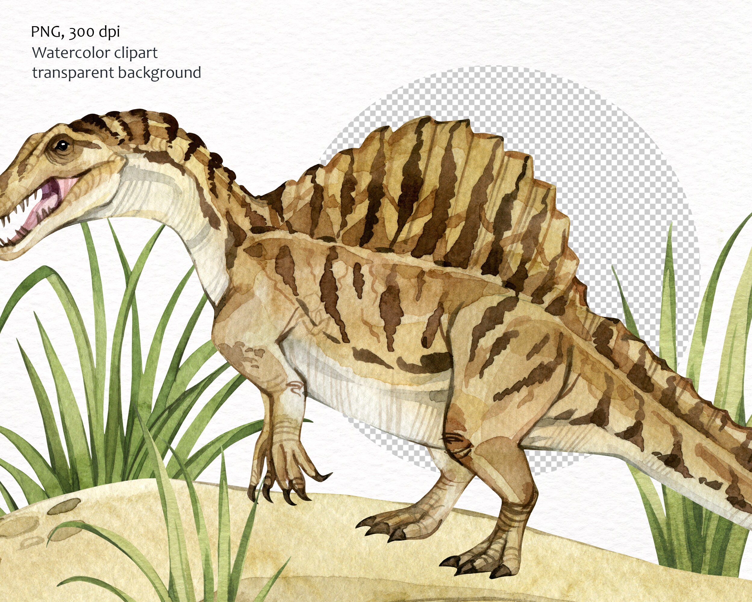 Dinosaur Printable Wall Art. Dinosaur Nursery Decor. Boys Bedroom Decor ...