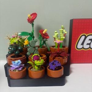 May include: A selection of Lego botanical models, including cacti, flowers, and succulents, arranged in small brown pots on a tiered black display stand. The Lego set includes red, green, yellow, purple, and blue elements. A red box with the Lego logo is in the background.