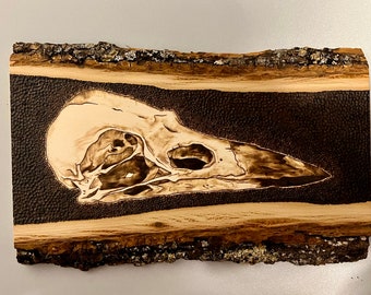 Bird Skull - Pyrography on Basswood