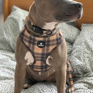 Dog Lead - Brown Black and Red Check Tartan