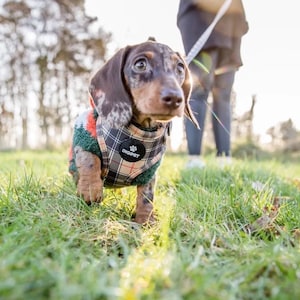 Hundegeschirr, Halsband & Leine Set - braun schwarz und rot Karo Tartan