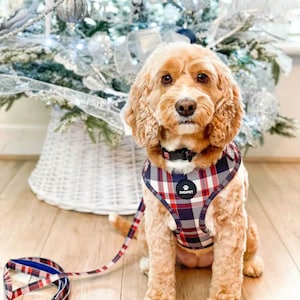 Hundehalsband und Leine Set - Blau und Rot Karo Tartan