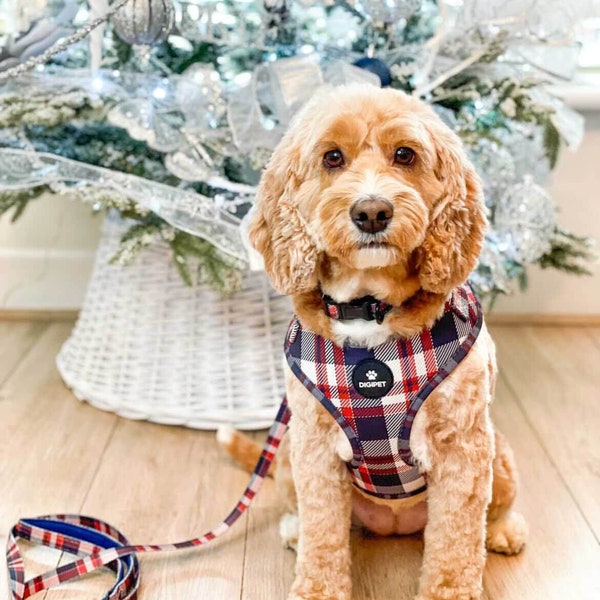 Harnais pour chien - Tartan à carreaux bleu et rouge