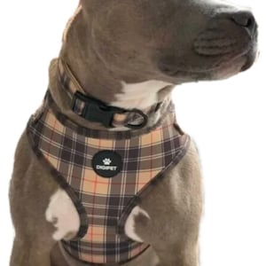 Dog Harness - Brown Black and Red Check Tartan