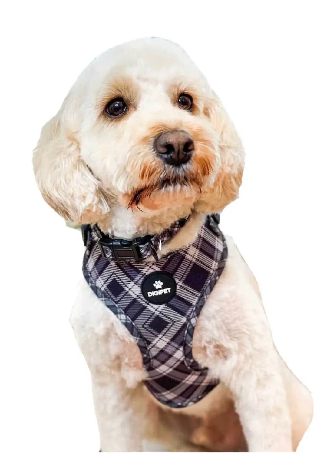 Dog Harness Collar and Lead Full Set Black and White Check Etsy UK